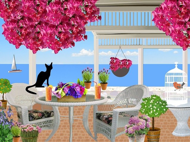 kočka na verandě